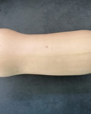 Courge Buternut (gout de noisette) GROS - Origine France -