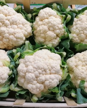 Choux Fleurs - Origine FRANCE -