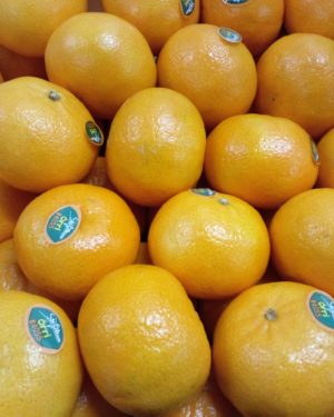 Clementine ORRI EXTRA   - ISRAEL-