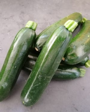 Courgette MAGNIFIQUE- Origine ITALIE -