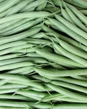 Haricot Vert magnifique - Origine MAROC-