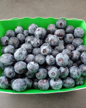 Myrtille en barq de 250G -origine MAROC-