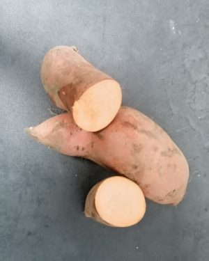 Patate Douce orange MOYENNE - Origine FRANCE -