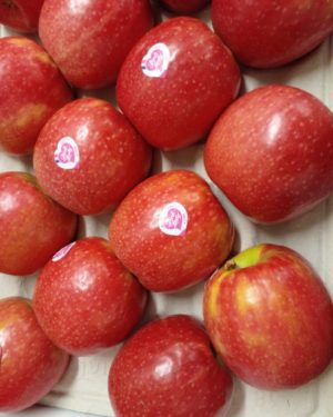 Pomme Pink Lady - Origine France -