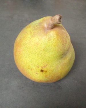 Poire COMICE CALIBRE GROSSE - Origine FRANCE -