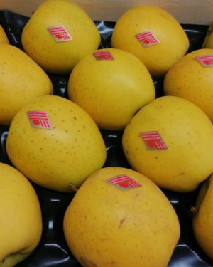 Pomme DELISDOR - Origine France -