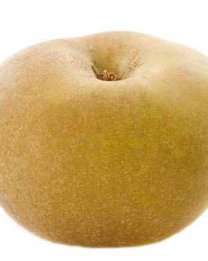 Pomme CANADA GRISE- Origine France -