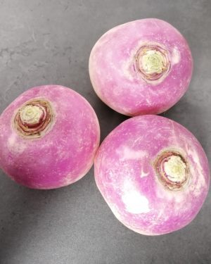 Rave NOUVELLE - Origine France -