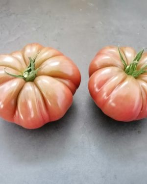 Tomate Noire de Crimée EXTRA- Origine France -
