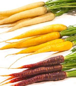 Carotte de Couleurs - Origine France -