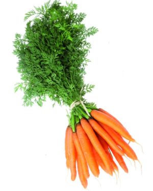 Carotte Fane -ITALIE-
