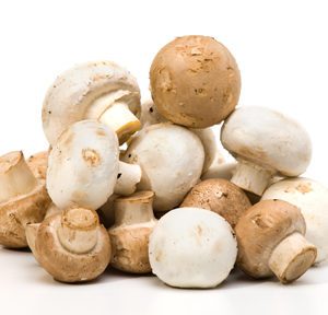 Champignon Brun de paris - Origine France -