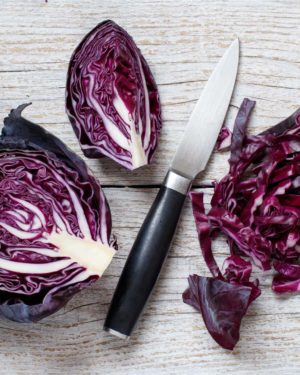 Choux Rouge - Origine France -