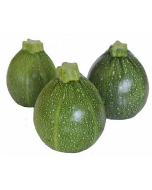 COURGETTE RONDE- Origine FRANCE -