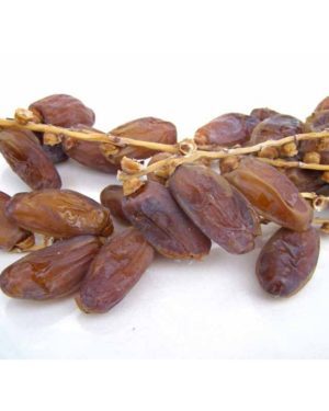 Datte Branché - Origine Algérie -