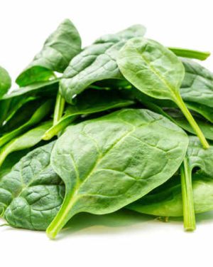 Epinard (400g/personne en plat principale) PETITES FEUILLES- Origine France