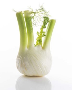 Fenouil - Origine ITALIE-