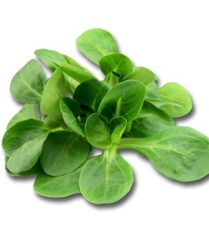 Mache (50g par personne) - Origine France