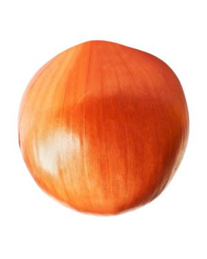 Oignon Jaune - Origine FRANCE -