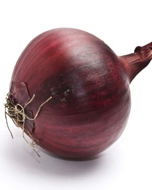 Oignon Rouge - Origine Italie -