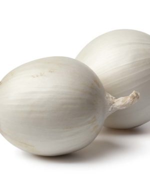 Oignon Blanc - Origine ITALIE -