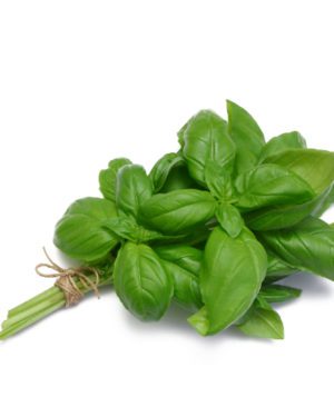Basilic-frais