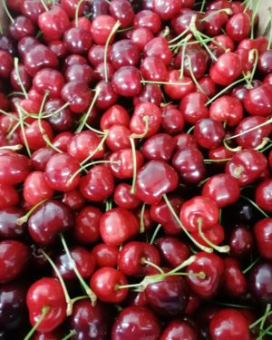 cerise NIMBA tres joli PETIT CALIBRE - Origine FRANCE-