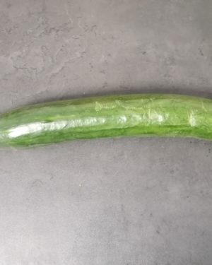 Concombre  - Origine ESPAGNE-