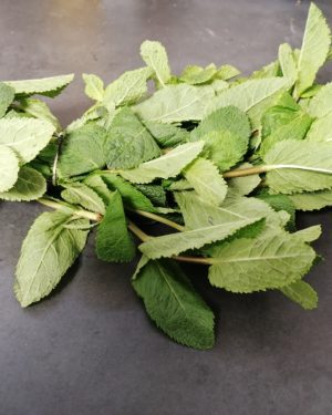 MENTHE FRAICHE - Origine France -