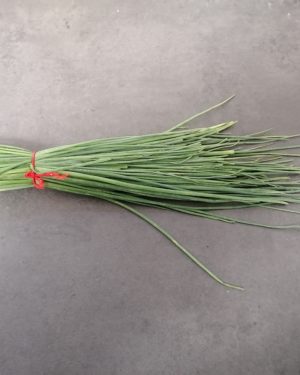 Ciboulette - Origine France -