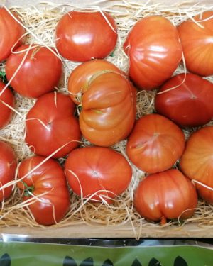 Tomate coeur de boeuf pleine terre - Origine France -