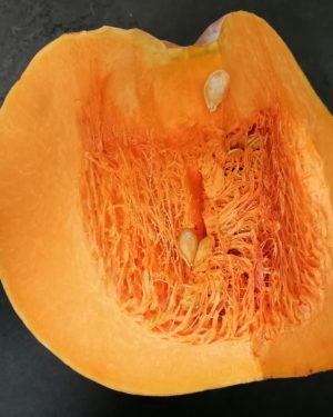 Courge MUSCADE - Origine France -