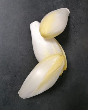 ENDIVE - Origine FRANCE -