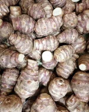 TOPINAMBOURG - Origine France -