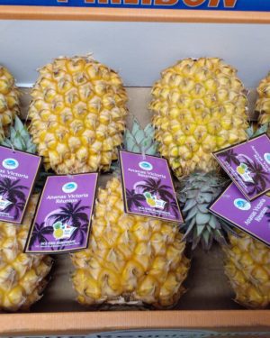 Ananas VICTORIA - Origine ILE DE LA REUNION