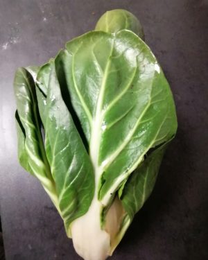 PIED DE BETTE - Origine ITALIE