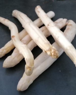 Asperge Blanche 2ND CHOIX  - Origine FRANCE-