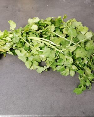 Coriandre - Origine France -