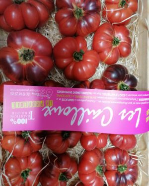 Tomate MAMIE BLUE - Origine France -