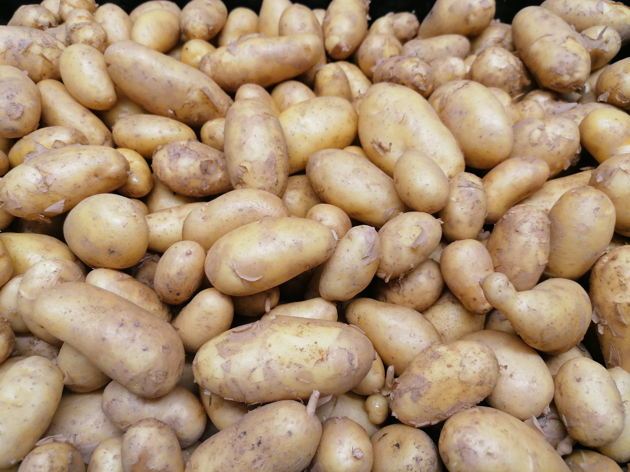 Pomme de Terre nouvelle BF15 – Origine FRANCE- | Simond Fruits & Légumes