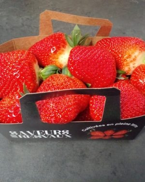 Fraise CLERY DE L ISERE  BARQ DE 500G- Origine FRANCE -