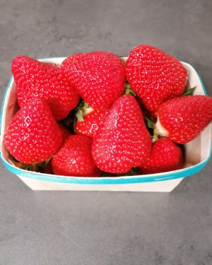 Fraise CLERY DE CARPENTRAS  BARQ DE 500G- Origine FRANCE -