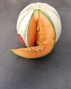 Melon EXCELLENT PIECE DE 1 KG  - Origine SENEGAL