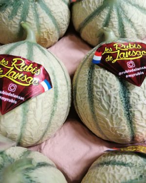 MELON PIECE DE 1.2KG  EXCELLENT - Origine FRANCE
