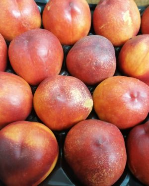 Nectarine JAUNE - Origine ESPAGNE -