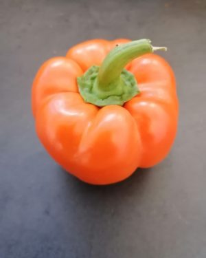 Poivrons Orange - Origine BELGIQUE-