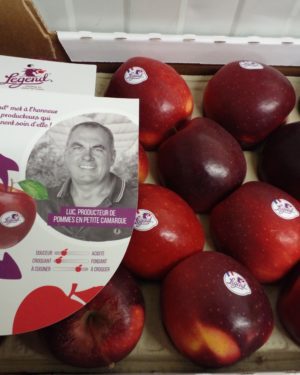 Pomme LEGEND - Origine France -