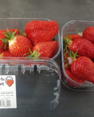 Fraise GARIGUETTE  en Barquette de 250g - Origine France