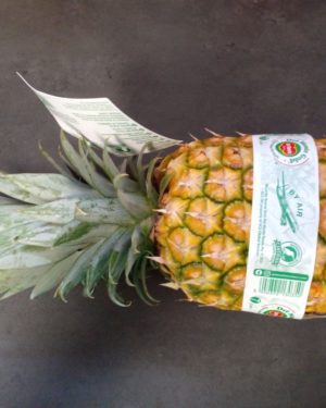 Ananas Variété EXTRA SWEET - Origine KENYA