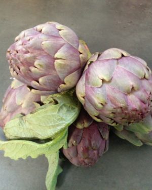 Artichaut BOUQUET DE 5 - Origine FRANCE-